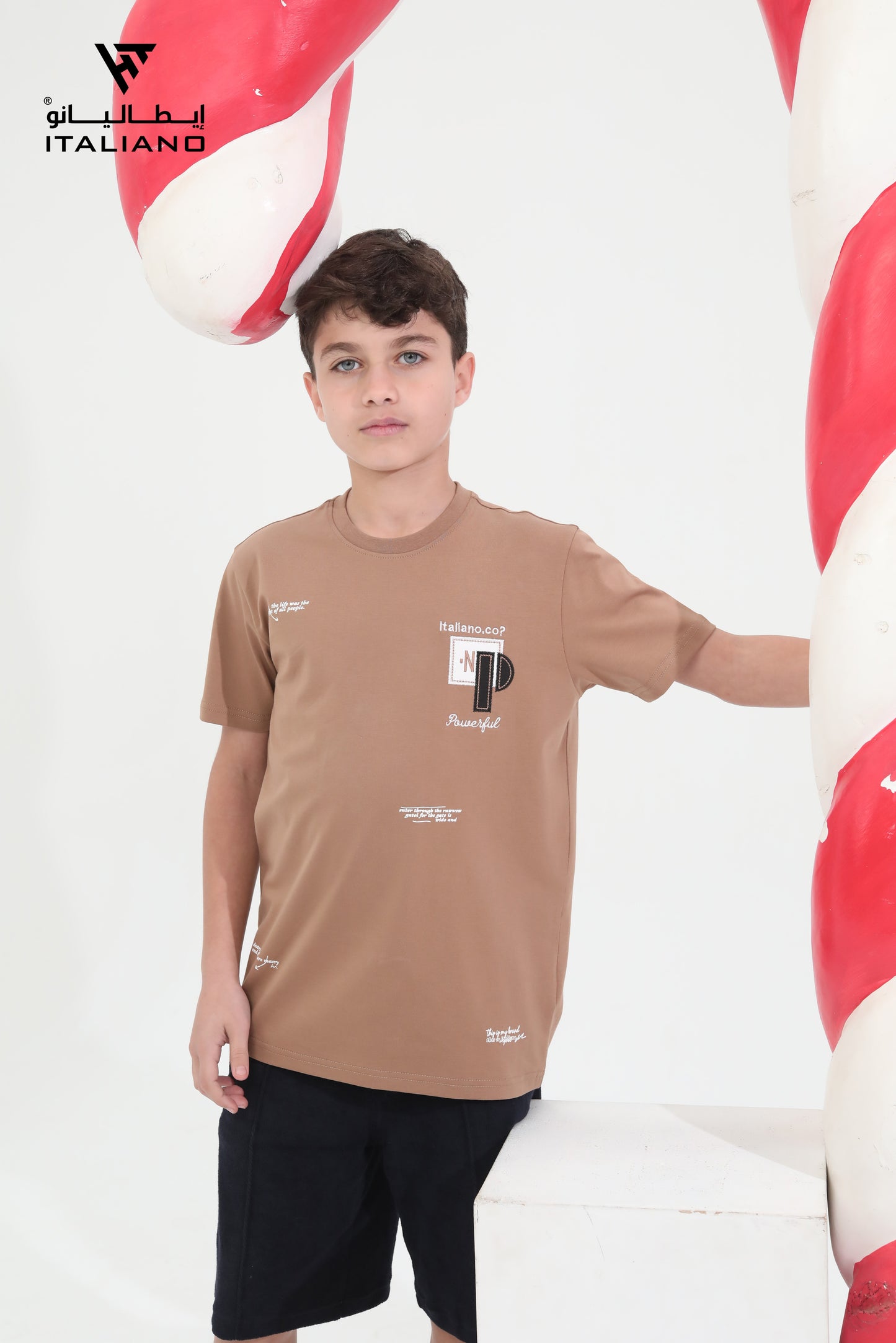 Boys T-Shirt ITSH213