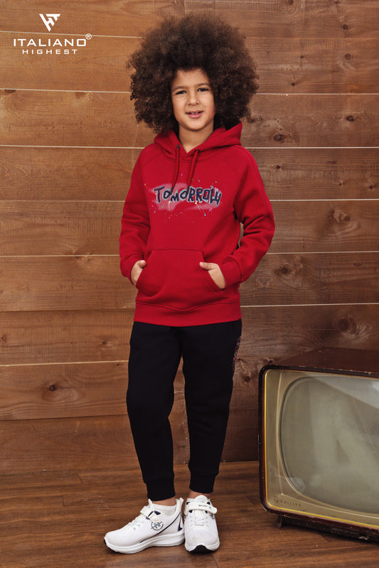 Boys Hoodies Set ITSE148